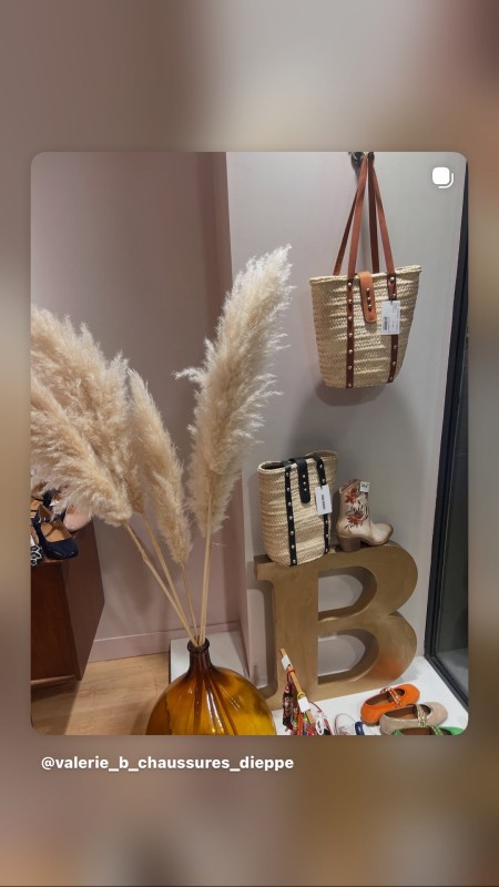 les  paniers VIRGINIE DARLING chez Valérie B chaussures et accessoires Dieppe Normandie P/E26